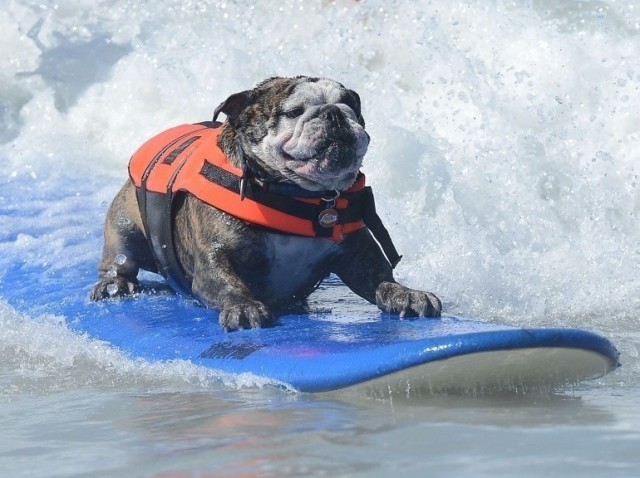 L&rsquo;actu du jeudi 16h &quot;Une autre façon de surfer&quot;