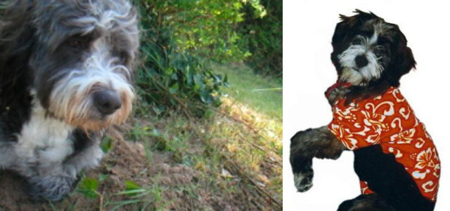 L&rsquo;actu du jeudi 16h &quot;Une autre façon de surfer&quot;