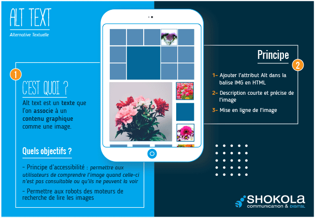 Les Mots du Digital : la balise Alt text