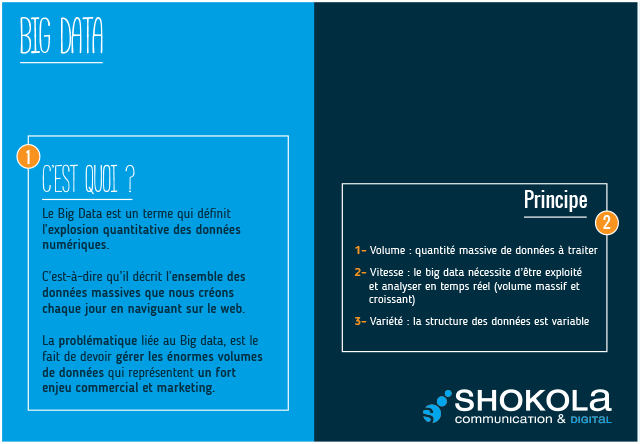 Les Mots du Digital : Big Data