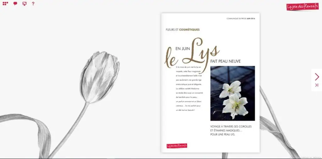 Flipbook Le lys fait peau neuve juin 2016