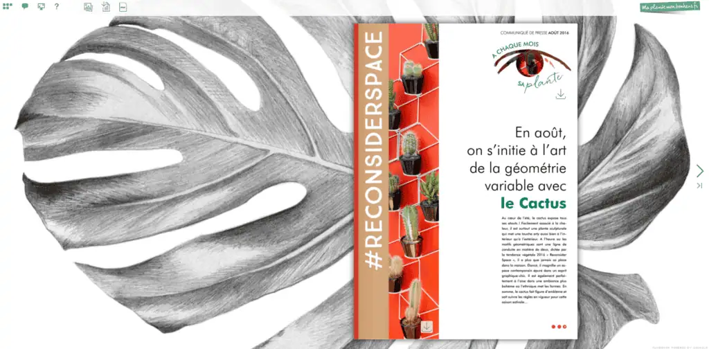 Flipbook Le cactus Aout 2018