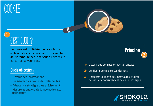 Les Mots du Digital : les Cookies