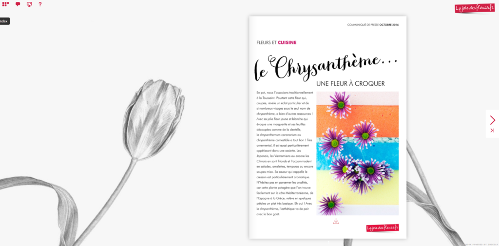 Flipbook Le chrysanthème fleur et cuisine octobre 2016