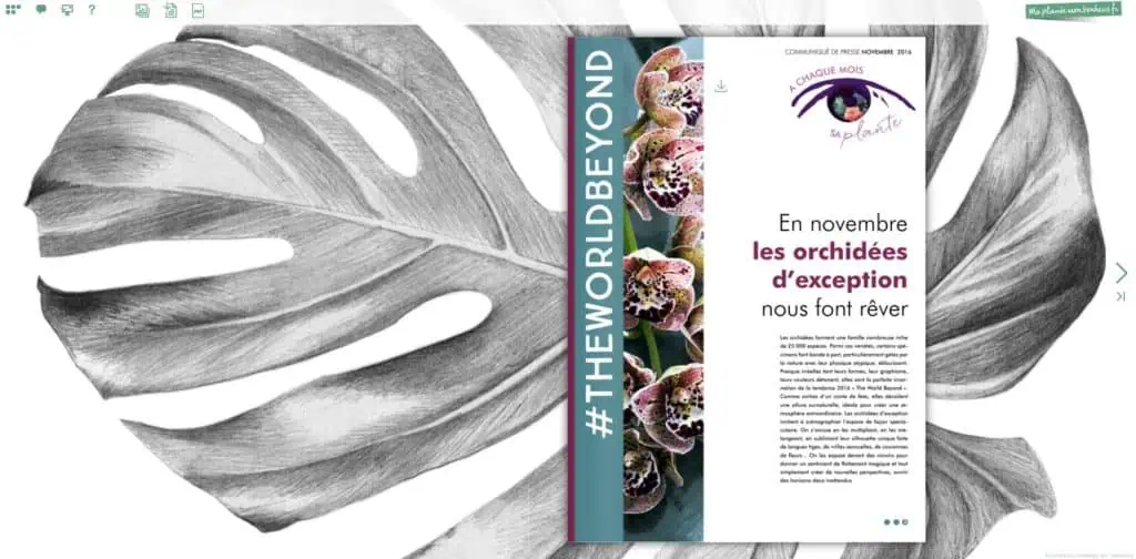 Flipbook Les Orchidées d'exception novembre 2016