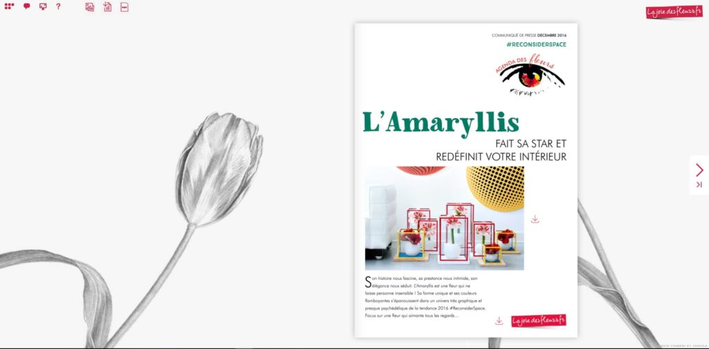 Flipbook Agenda des fleurs L'amaryllis décembre 2016