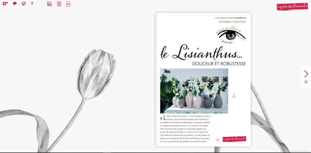 Flipbook agenda des fleurs lisianthus octobre 2016