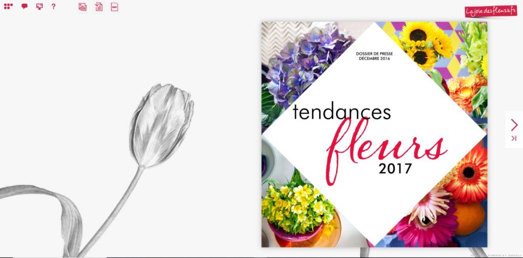 Flipbook Tendances fleurs 2017