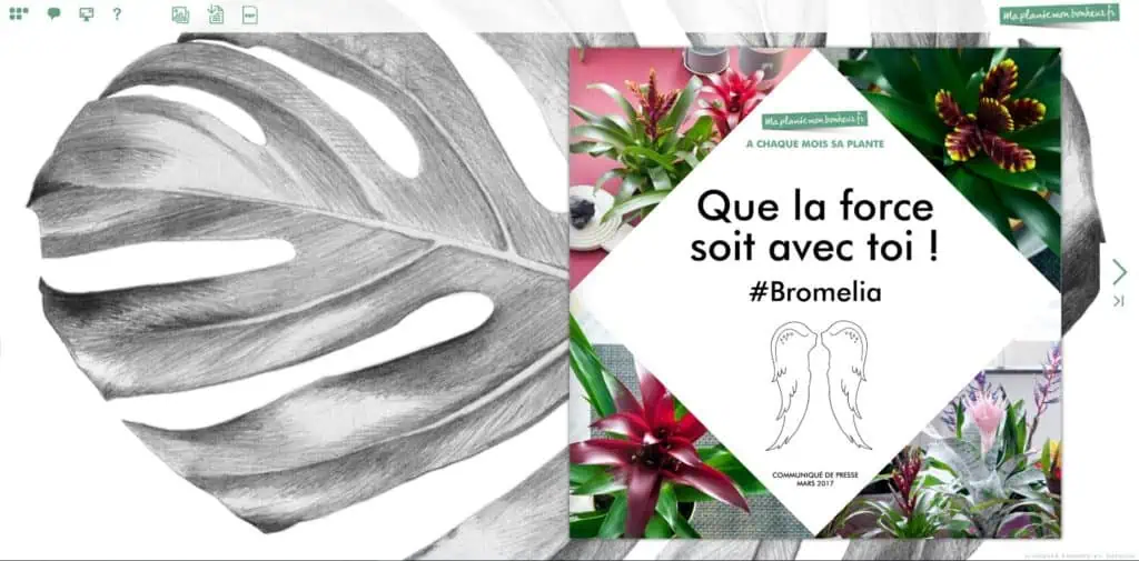 Flipbook Le bormélia mars 2017