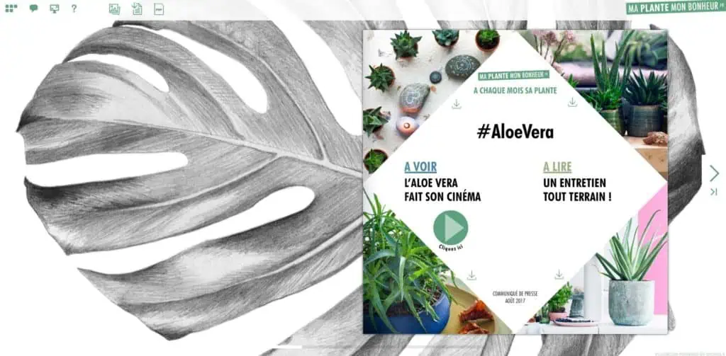 Flipbook Aloevera aout 2017