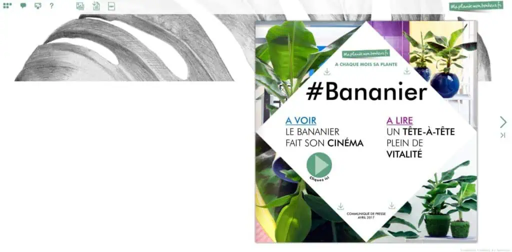 Flipbook Bananier avril 2017