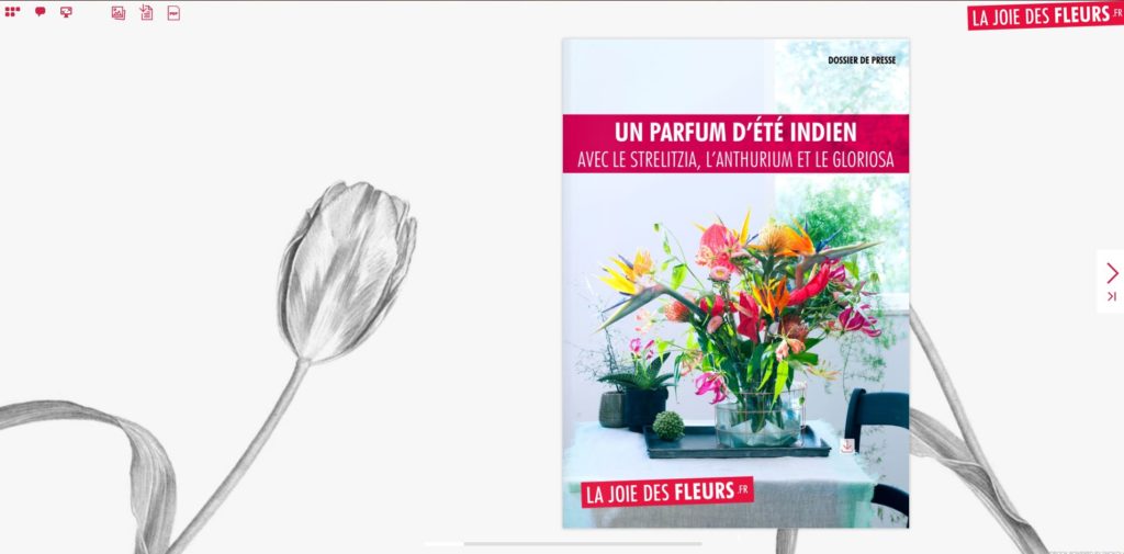 Flipbook Un parfum d'été indien strelitzia, Anthurium, gloriosa juillet 2017