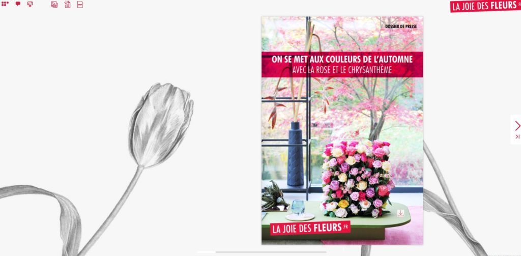 Flipbook Aux couleurs d'automne la rose et le chrysanthème septembre 2017