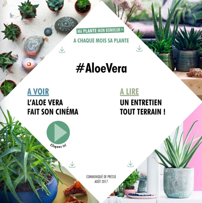 Flipbook : votre communication print digitalisée