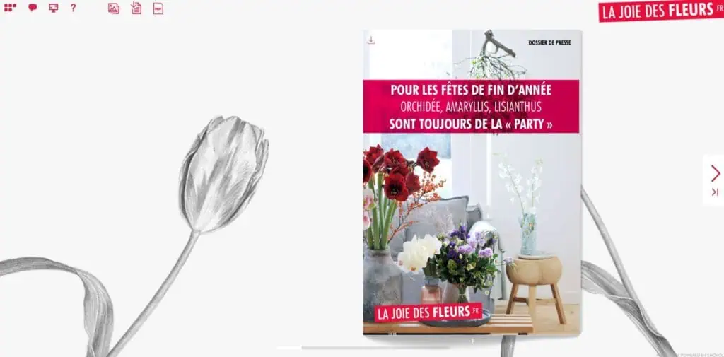 Flipbook Fleurs de fêtes de fin d'année orchidée, amaryllis, lisianthus octobre 2017