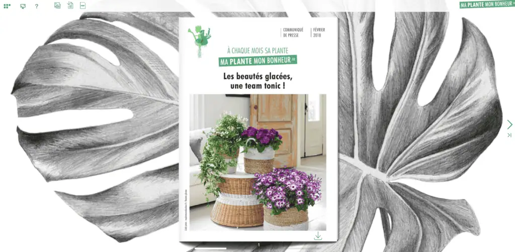 Flipbook Beautés glacées fevrier 2018