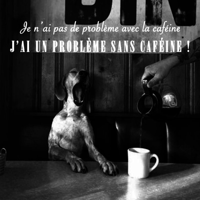 Comment &ecirc;tre un SUPER Community Manager ?