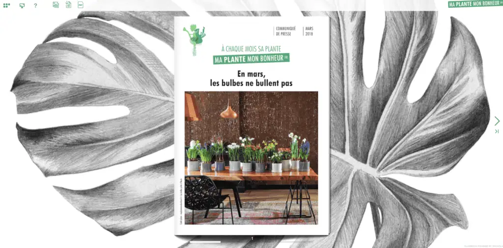 Flipbook Les bulbes ne bullent pas mars 2018