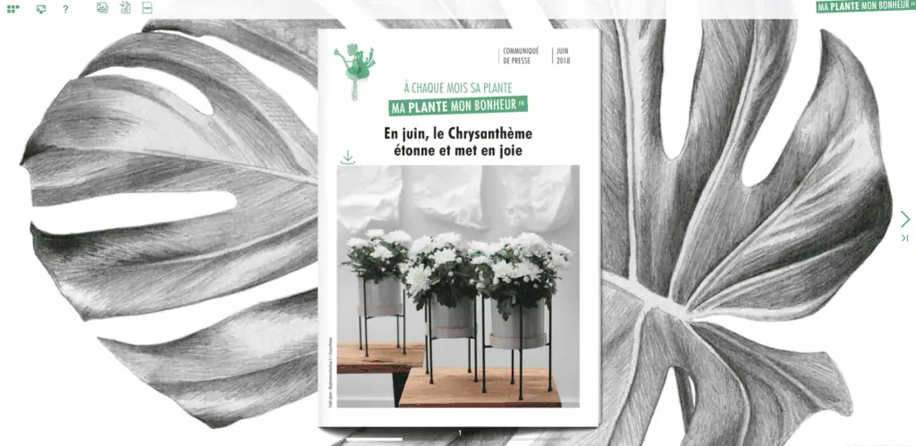 Flipbook En juin le chrysanthème juin 2018
