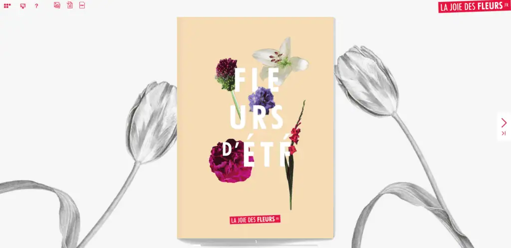 Flipbook Fleurs d'été mai 2018