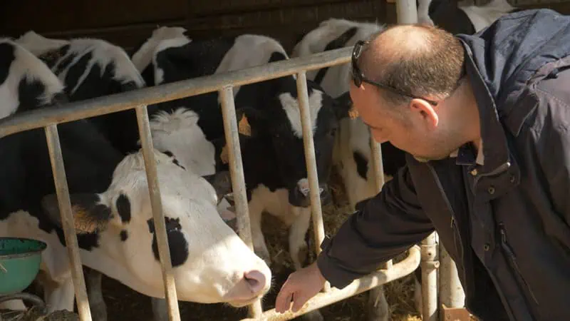 metamorpose-du-lait-visite-ferme-1