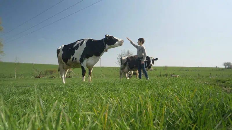 metamorpose-du-lait-visite-ferme-4