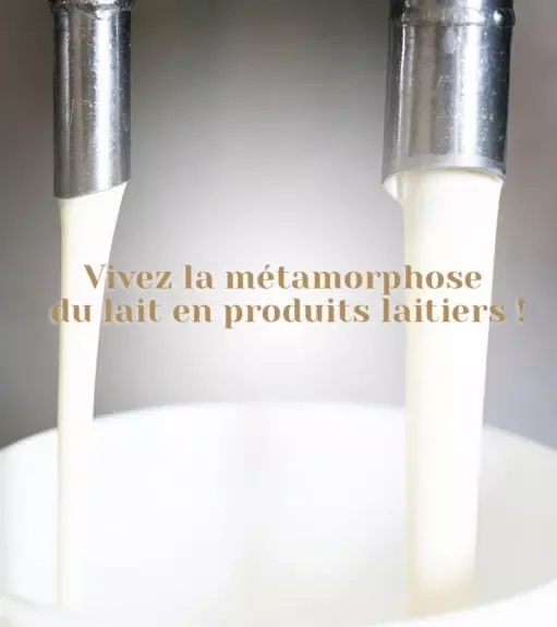 Cniel métamorphose du lait