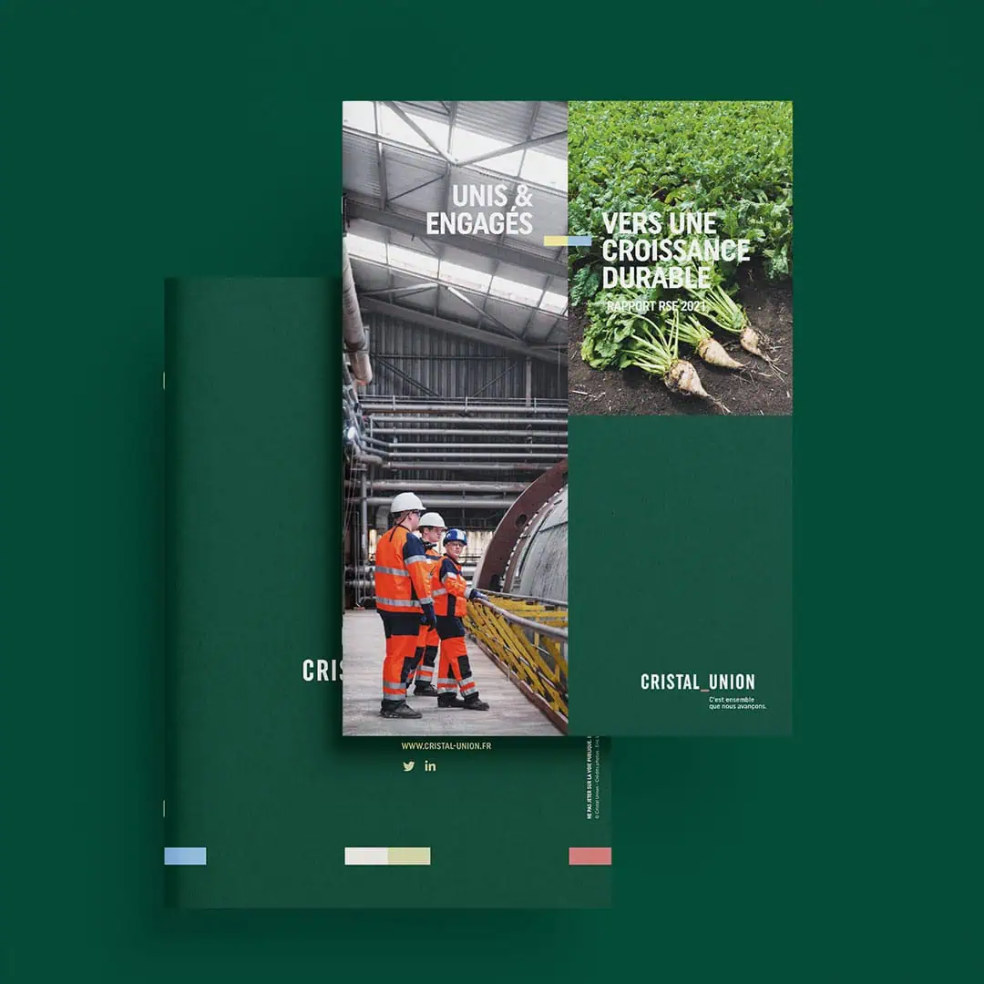 CU-RSE-1 Rapport RSE