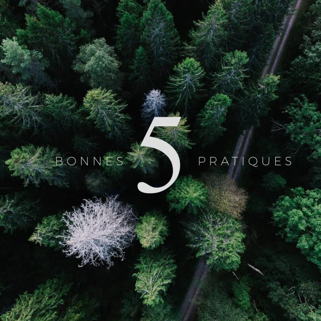 5 bonnes pratiques sur votre page d’accueil pour améliorer votre référencement naturel et favoriser les conversions