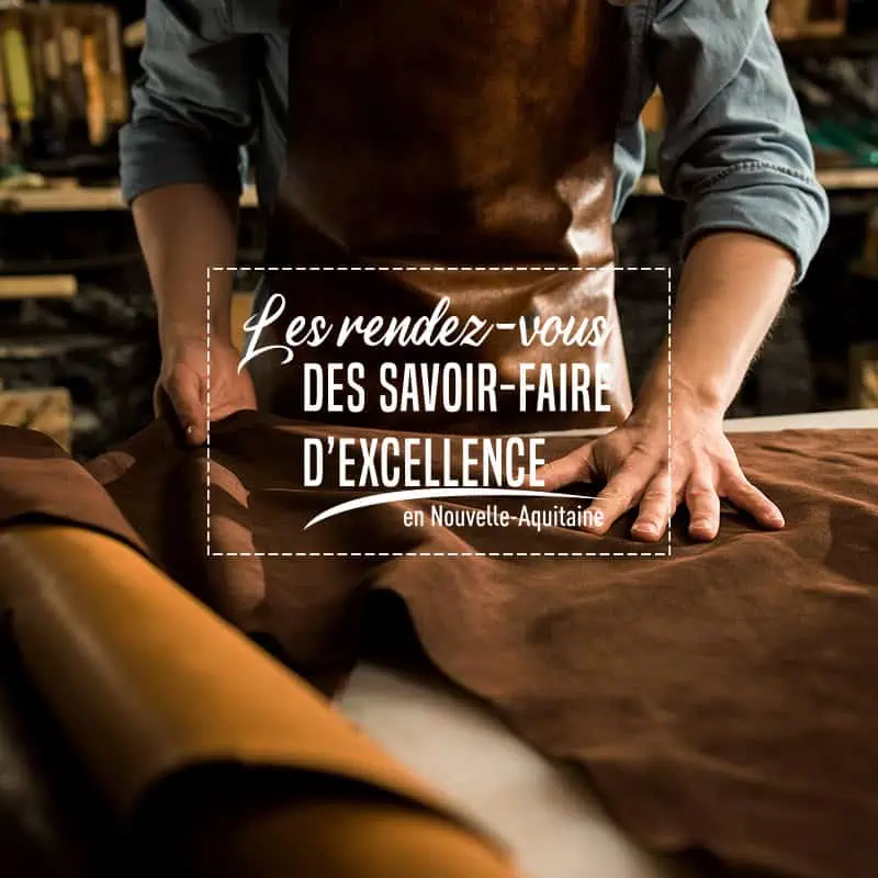 Réalisation du site « Les rendez-vous des savoir-faire d’excellence »